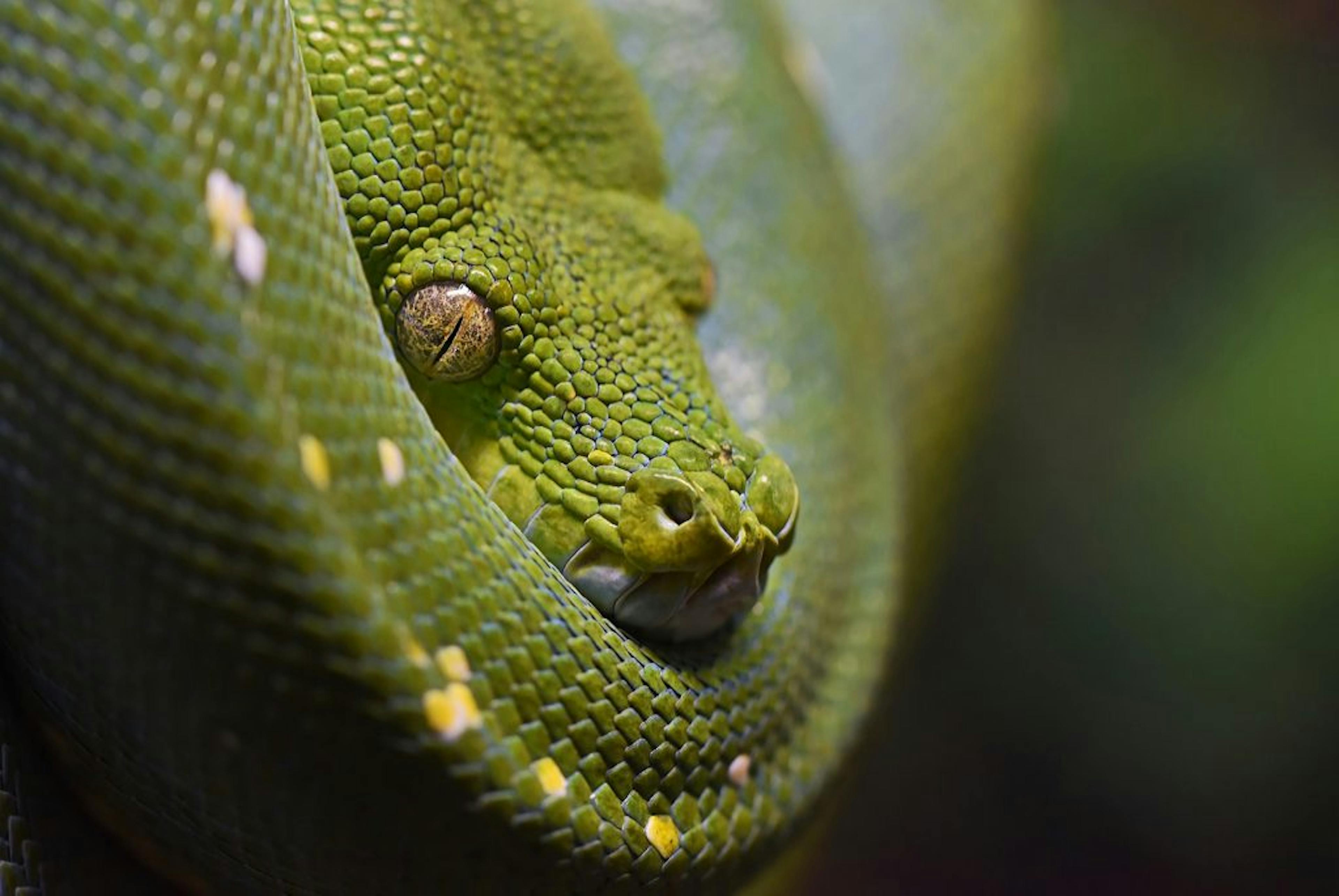 How to Use AES-256 Cipher: Python Cryptography Examples